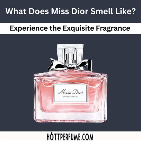 best of dior perfume|what does miss dior smell like.